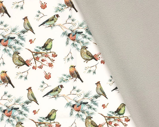 Birds Softshell