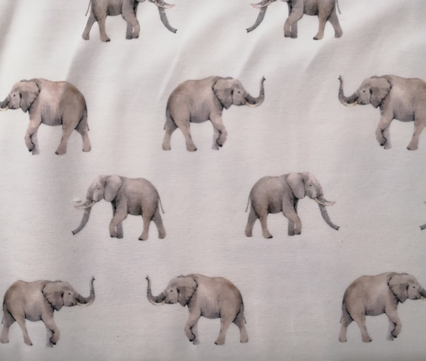 Elephant Cotton Jersey