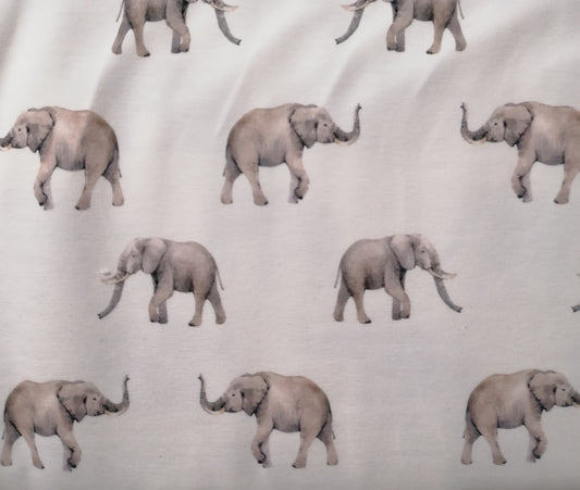 Elephant Cotton Jersey